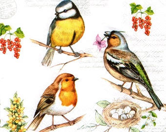 2 (Two) Paper Lunch Napkins for Decoupage/Mixed Media - Birds on Twig various breeds