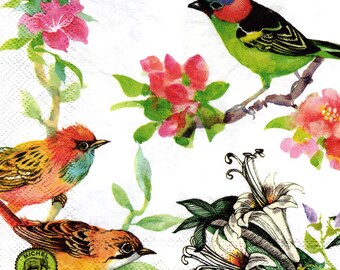 2 (Two) Paper Lunch Napkins for Decoupage/Mixed Media - Bird Song colorful birds