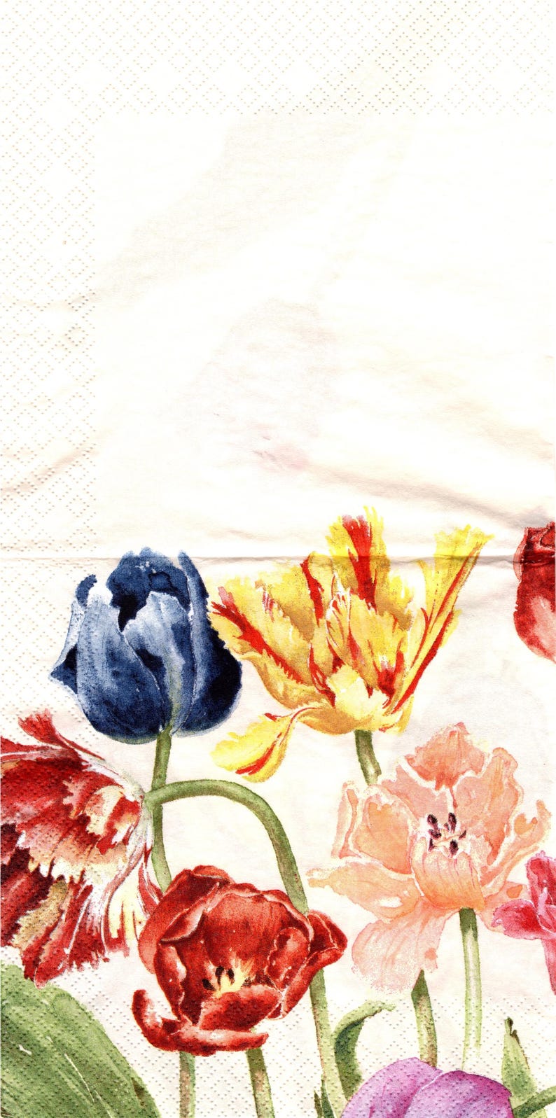 BPWaters Paper Lunch Napkins - Thumbnail 2