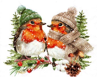 2 (Two) Paper Lunch Napkins for Decoupage/Mixed Media F - Warmly Dressed Robins birds