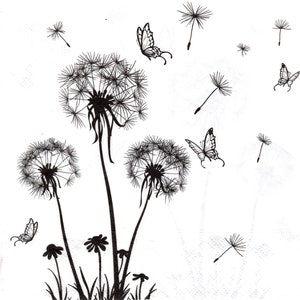 May include: Black and white silhouette illustration of three dandelion plants with seeds blowing in the wind.  Butterflies are flying around the dandelions.