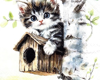 2 (Two) Paper Lunch Napkins for Decoupage/Mixed Media F - Minka the Kitten on birdhouse