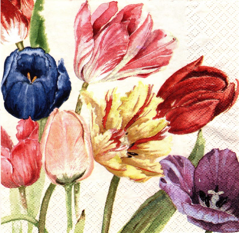 BPWaters Paper Lunch Napkins
