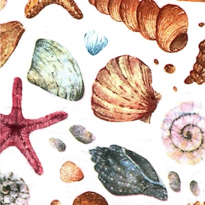2 (Two) Paper Guest/Buffet Napkins for Decoupage/Mixed Media - Sea Shells