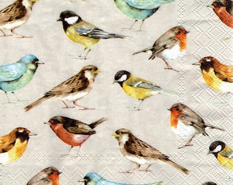 2 (Two) Paper Lunch Napkins for Decoupage/Mixed Media - The Birds many species