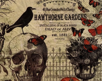 2 (Two) Paper Lunch Napkins for Decoupage/Mixed Media - Hawthorne Gardens with Skull