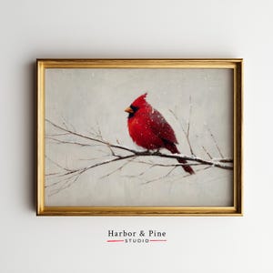 May include: A framed painting of a vibrant red cardinal perched on a snow-covered branch. The bird has a black beak and is set against a soft, snowy background. The artwork is in a gold frame, with the text "Harbor & Pine STUDIO" at the bottom.