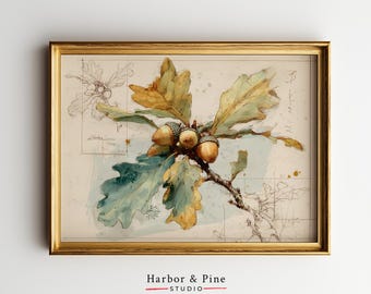 Oak Branch and Acorn Printable Wall Art, Vintage Botanical Watercolor Style