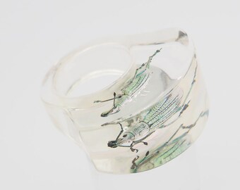 Transparent lucite ring with real beetle