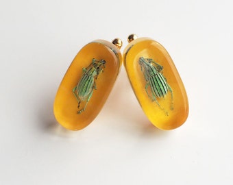 Funky yellow lucite cufflinks with real exotic bugs