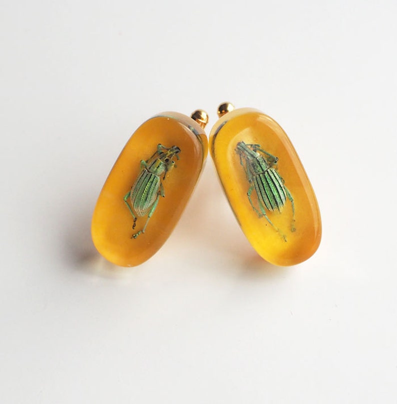 Funky yellow lucite cufflinks with real exotic bugs image 1