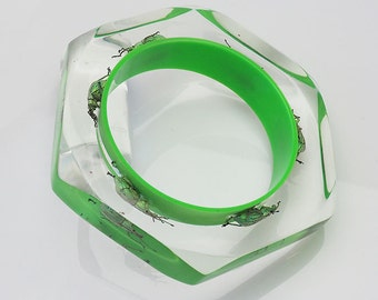 Six sided green lucite bracelet with real exotic beetles