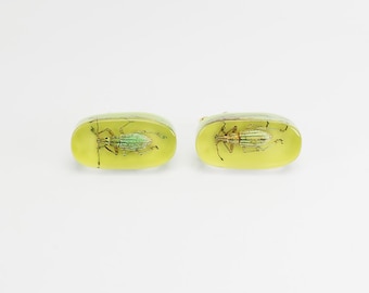 Chartreuse salad green lucite cufflinks with real insect