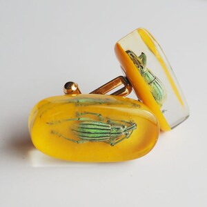 Funky yellow lucite cufflinks with real exotic bugs image 2