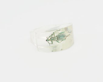 Anneau de lucite translucide transparent transparent avec scarabée vert brillant