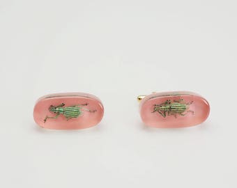 Unique pink lucite cufflinks with real green beetles