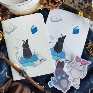 Peut inclure: Deux cartes blanches illustrant un lapin noir assis sur une pile de livres, accompagné d'une tasse de thé et d'un livre flottant au-dessus. Le lapin regarde le livre vers le haut. Les cartes sont entourées de divers objets, dont une figurine de grenouille, une baguette magique et un livre portant l'inscription "70% Finest Croakaoa".