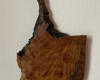 Piece of British Oak Believed to be HMS Victory Oak