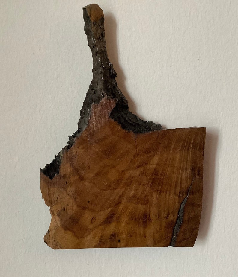 Piece of British Oak Believed to be HMS Victory Oak image 1