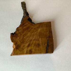 Piece of British Oak Believed to be HMS Victory Oak image 6