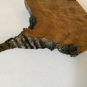 Piece of British Oak Believed to be HMS Victory Oak image 7