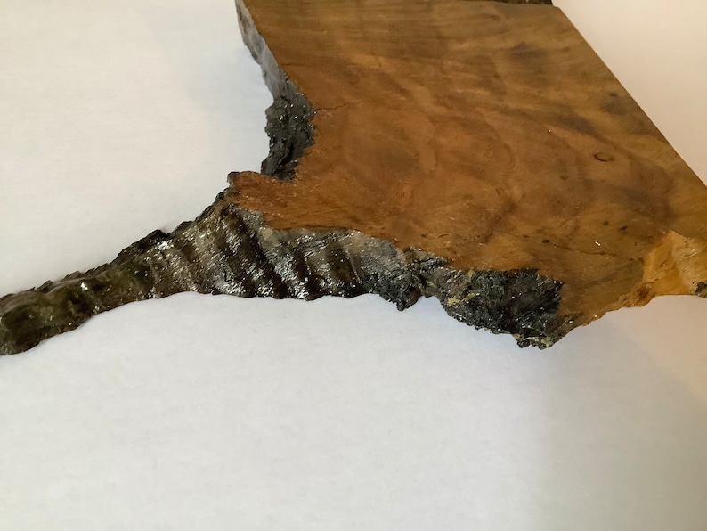 Piece of British Oak Believed to be HMS Victory Oak image 7