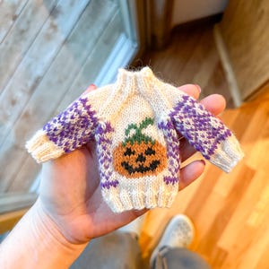 May include: A miniature, hand-knitted sweater in cream, purple, and orange. The sweater features a pumpkin design on the front and a purple geometric pattern on the sleeves. The tiny garment is designed for a small pet or doll.