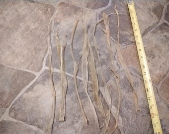 Deer Back Strap Sinew For 2 Natural Organic From Mn About 15" - 21" Long Thin Ones