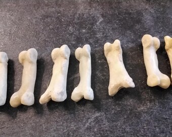 Bobcat Toe Knuckle Bones Drilled For 7 Jumbo Fat Size About 1 3/8" long