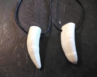 Alligator Tooth Necklace For 1 Large Bone Resin About 1 3/4" - 2" Long Around The Curve