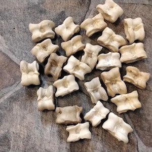 May include: A collection of approximately 20 small, off-white, bone-like objects. The objects are shaped like vertebrae, with a central hole and two rounded ends. They are arranged in a pile on a brown, textured surface.