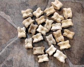 Deer Leg Joint Bone For 2 Viking Bone Rolling Dice Primitive Greek Astragabi Bone Dice Roll With Bones