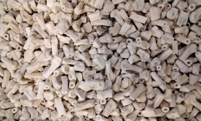 May include: A close-up image of a pile of small, white, bone-like pieces. The pieces are irregular in shape and have a rough texture.