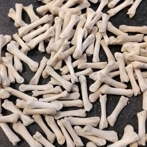 May include: A large pile of small, white, bone-like objects. The objects are arranged in a random pattern and appear to be animal bones.