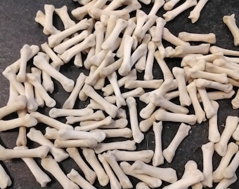 Coyote Dew Claw Foot Bones For 10 From Mn. USA