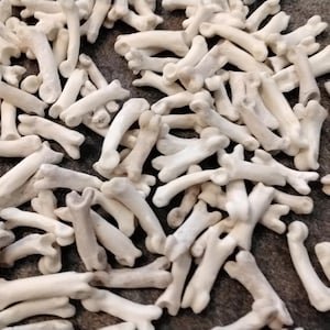 May include: A large pile of small, white, bone-like objects. The objects are smooth and have a slightly curved shape. They appear to be animal bones.