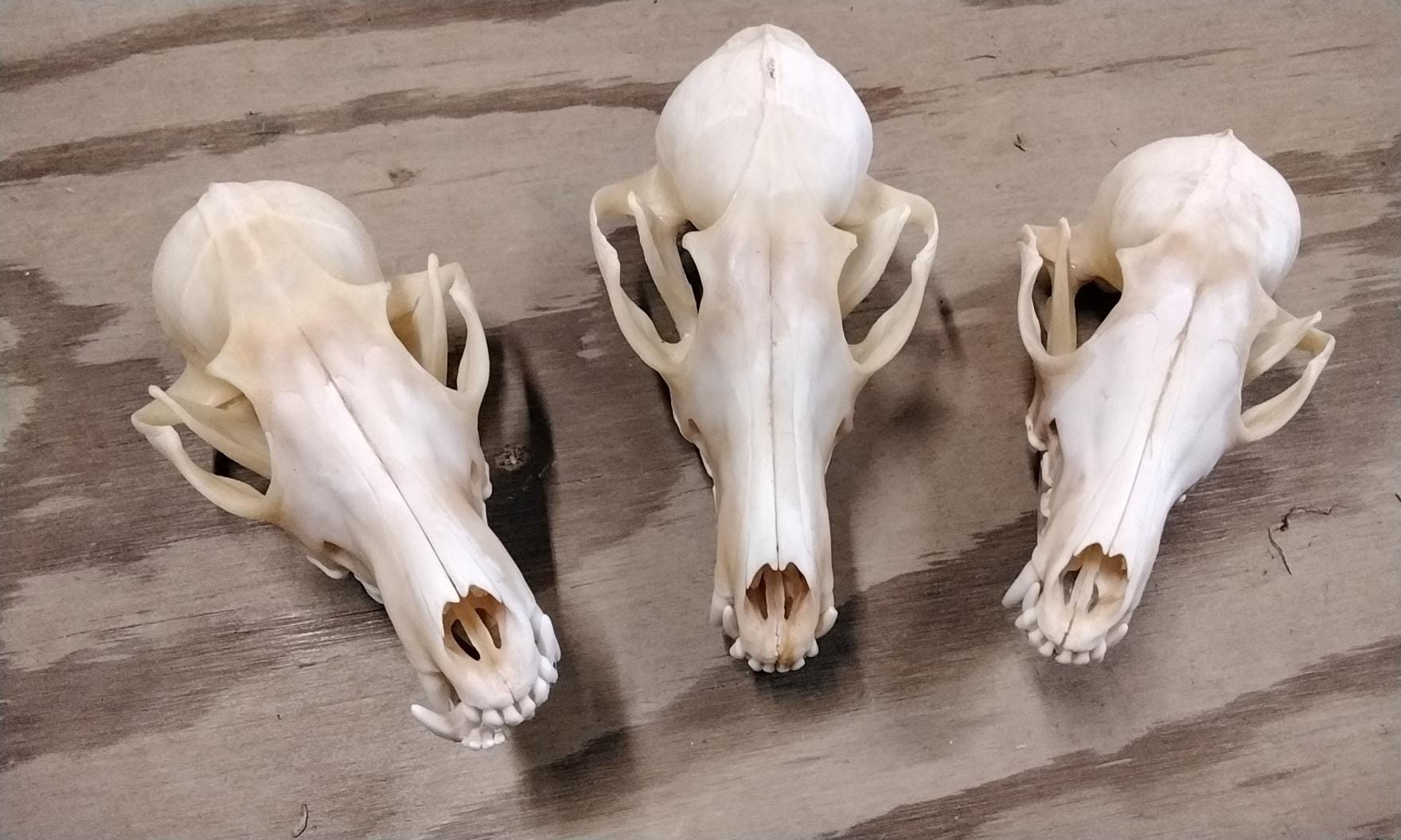 macmahon knitting mills Skull Face スカル Skull Pullover and Hat | Myblueheavenknits's Blog