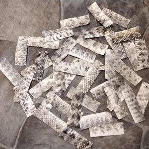 May include: A collection of small, irregularly shaped pieces of snakeskin in various shades of gray and white. The pieces are arranged in a random pattern on a gray and brown stone surface.