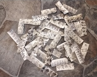 May include: A collection of small, irregularly shaped pieces of snakeskin in various shades of gray and white. The pieces are arranged in a random pattern on a gray and brown stone surface.