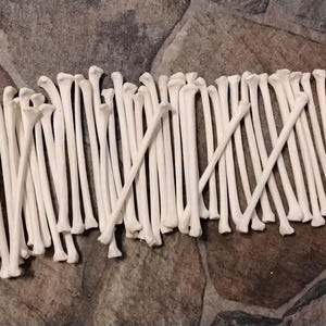 May include: A collection of white, thin, bone-like objects arranged in a row. The objects are all the same size and shape, and they are lying on a brown, textured surface.