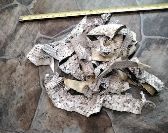 Python Snakeskin Pieces For A Quart Bag Full Over 3 Ounce Of Wild Python Skin Pieces From Fla