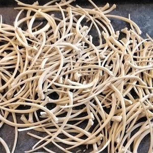 May include: A large pile of thin, light brown, curved bones. The bones are arranged in a random pattern on a dark gray surface.