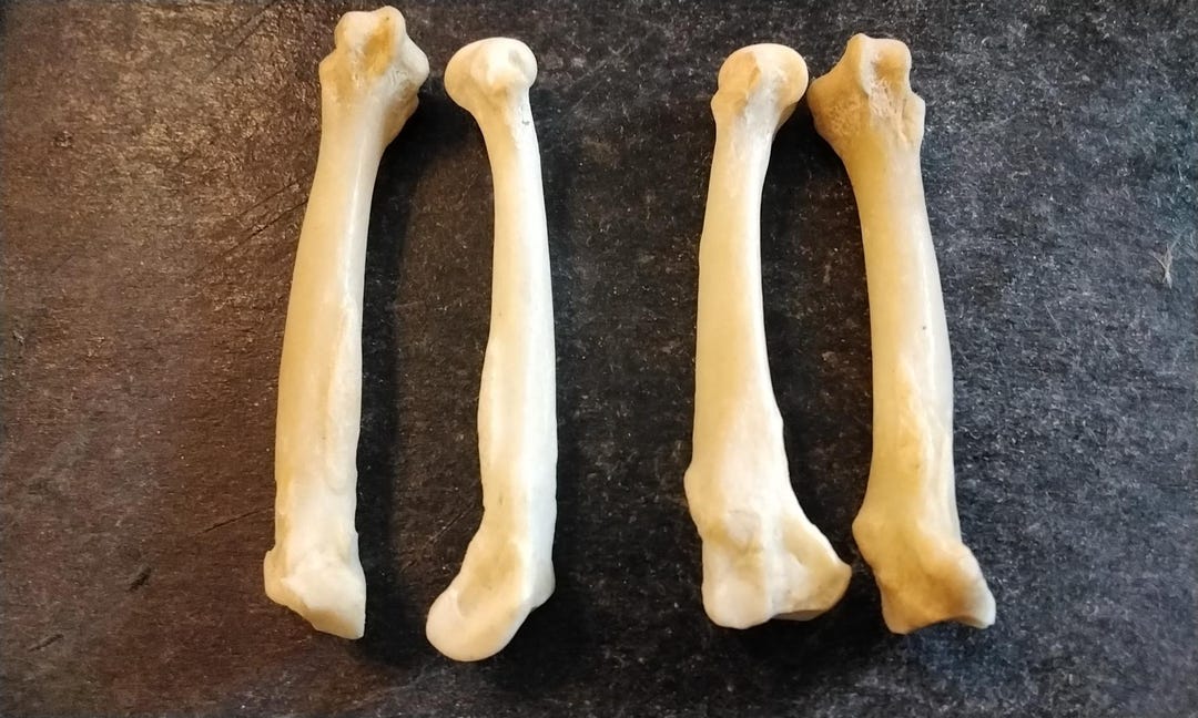 Coyote Foot Bar main image 1