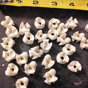 May include: A collection of approximately 30 small, white, ceramic, anatomical vertebrae models.