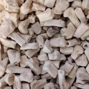 May include: A close-up view of a pile of white coral pieces. The coral is rough and textured, with a variety of shapes and sizes.