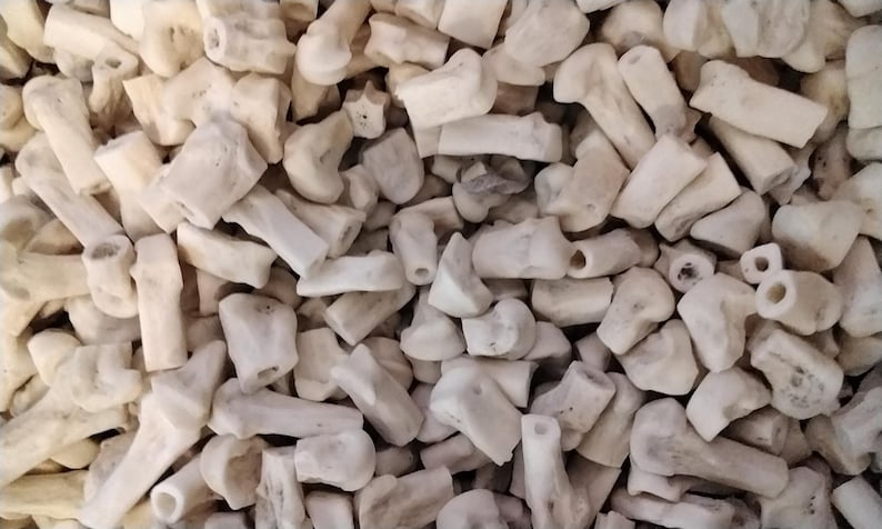 May include: A close-up view of a pile of white coral pieces. The coral is rough and textured, with a variety of shapes and sizes.