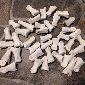 Deer Toe Knuckle Bone For 8 From Mn.