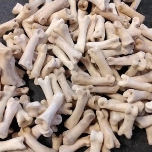 May include: A large pile of small, white, bone-like objects. The objects are smooth and have a slightly rough texture. They appear to be animal bones.