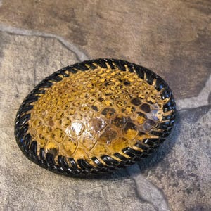 Python Snakeskin Belt Buckle  From The 1970's