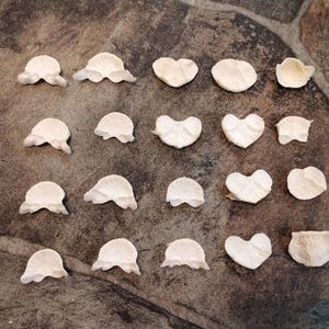 May include: An overhead shot displays a collection of off-white, petal-shaped and heart-shaped decorative elements. The elements are arranged on a textured, brown surface, creating a natural and delicate aesthetic. The shapes vary slightly in size and form.